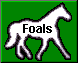 green foals gif