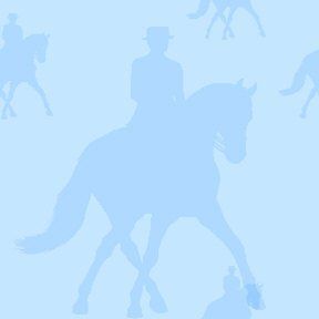 #2C - Blue Dressage Background