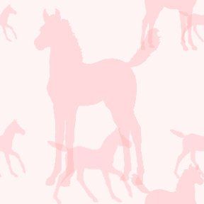 #6C - Pink Foal Background