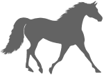 gray foxtrotter horse
