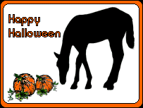 horse & halloween pumpkin
