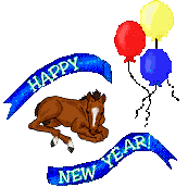 Happy New Year Bay Baby Horse