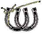 horseshoes