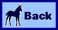 mule foalback