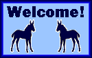 mule foal welcome sign