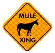 mule crossing