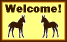 yellow mule welcome