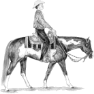 Western Overo Paint Horse