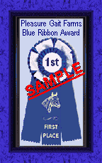 Sample of Our Blue Ribbon Award