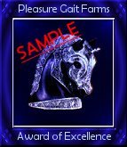 Sample of Our Blue Knight Award of Excellence