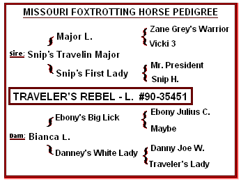 Missouri Fox Trotting Horse Pedigree