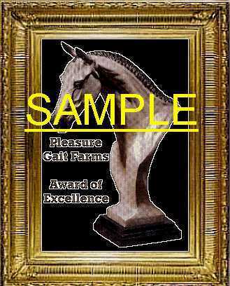 Sample of Award of Excellence