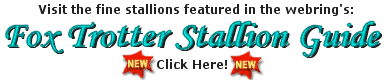NEW! Click here for Fox Trotter Stallion Guide's featured stallions