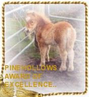 Pinehollows Miniature Horse Stud