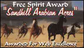Spirit Award