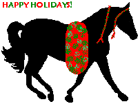 Happy Holiday Foxtrotter