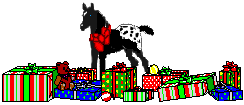 Christmas Gifts & Appaloosa Foal Gift