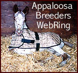 Appaloosa Breeders Network 