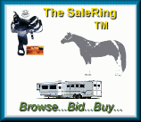 The SaleRing Logo tm