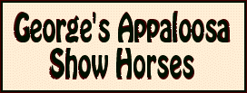 George's Appaloosa SHow Horses