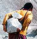 Nun from Zanskar hauling rocks