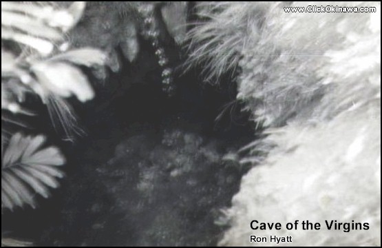 293 - Cave of the Virgins