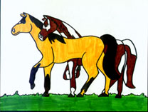 Kaicy's Horses