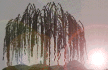 Weeping Willow with Fire