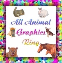 All Animal Graphics Ring