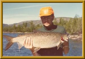 World Record Lake Whitefish