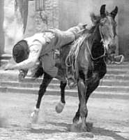 Fred Kennedy stunt fall from horse in South Two St. Louis