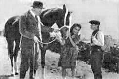 image cast of National Velvet movie