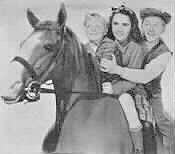 image cast of National Velvet