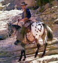 John Wayne riding Appaloosa