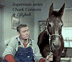 image mule and Chuck Connors