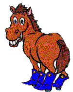 horse wearing boots