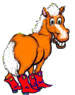 horse 
wearing boots