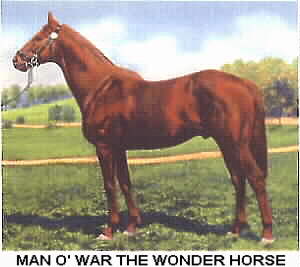 Man O' War famous racehorse