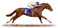button animated image click here to Seabiscuit race horse