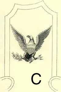 Colonel's Epaulette Eagle