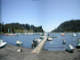 La Poza Villarrica Lake Pucon