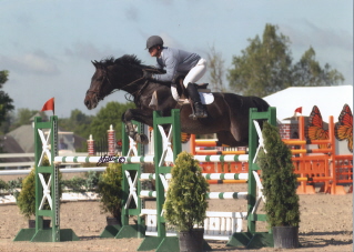 TZIGANE, OSB Trakehner stallion showing in Level 4 high Jumping class in 2006, with Helmut Schrantz up