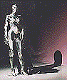 tm019.jpg