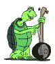 Musical Turtle