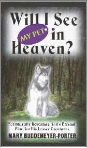 Will I See My Pet In Heaven