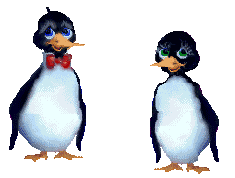 Penguin#35