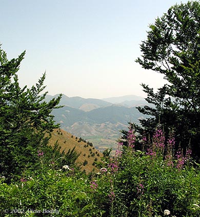 Panorama de la zona de Campotenese, al Norte de Castrovillari y de Morano Calabro, en el Parque Nacional del Pollino, mirando hacia el valle de Campotenese