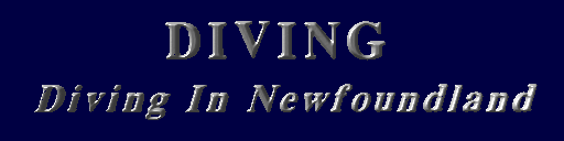 Diving in Conception Bay