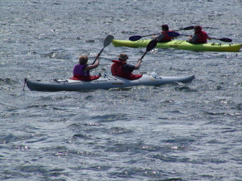 Cape Broyle is a popular Kayaking destination, lots of wildlife to see, maybe even a whale...