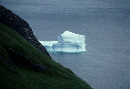 Fun Iceberg Tours